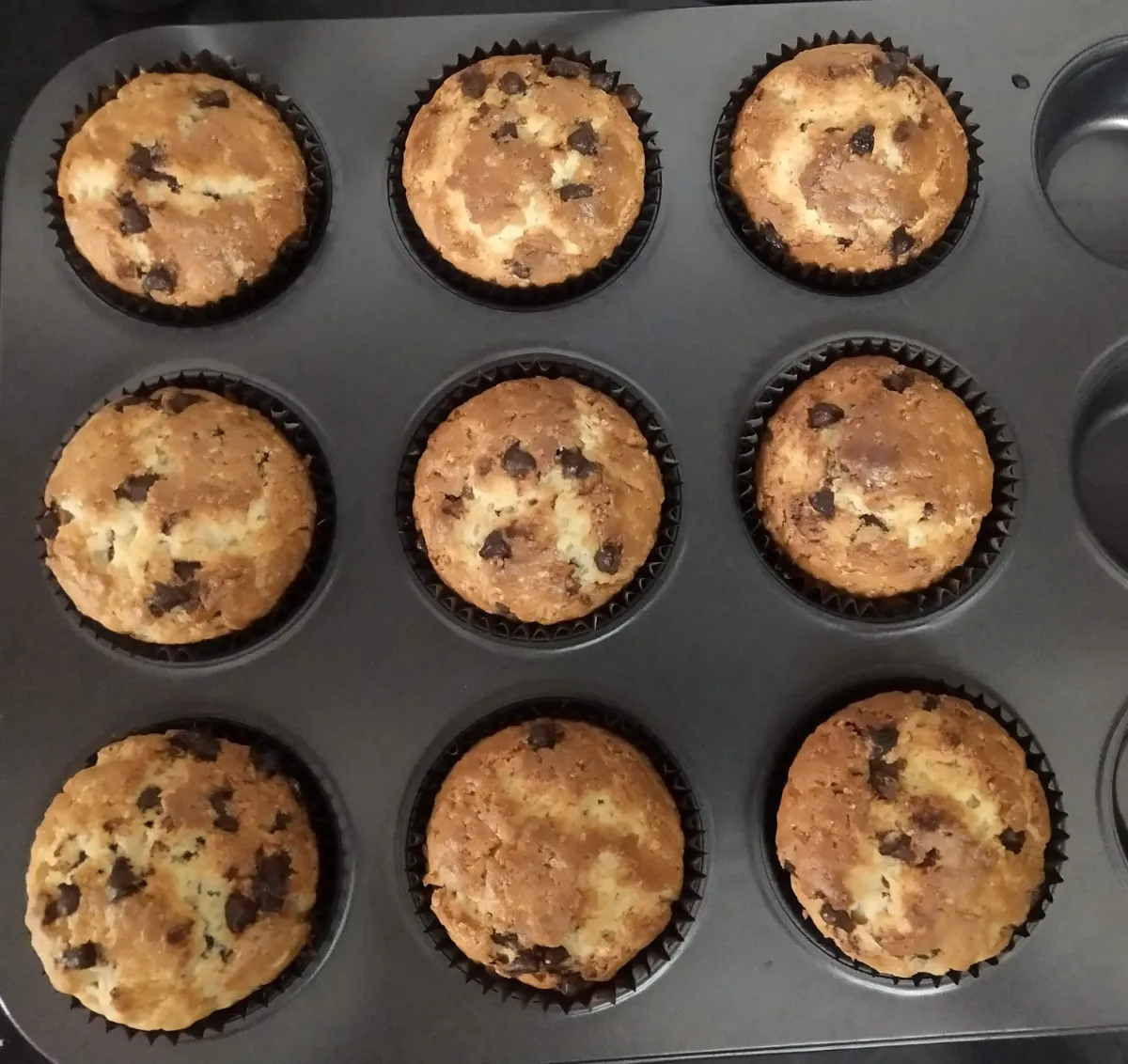 Chocolate chip cupcakes